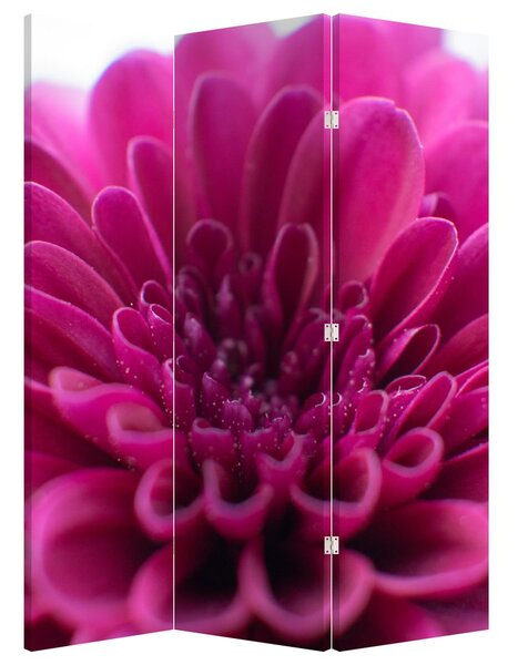 Paravan - Floare (126x170 cm)