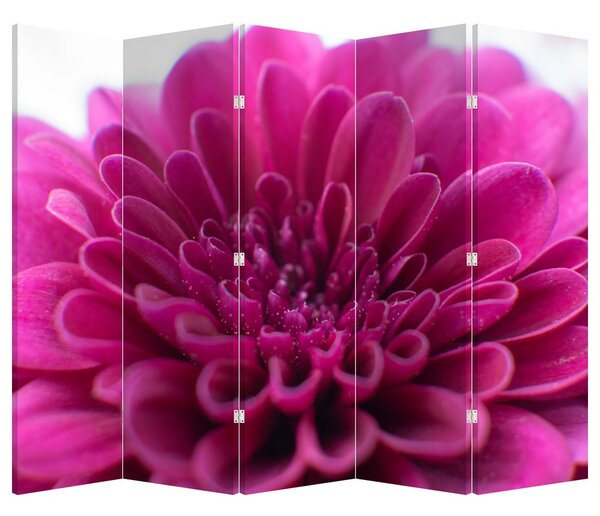 Paravan - Floare (210x170 cm)