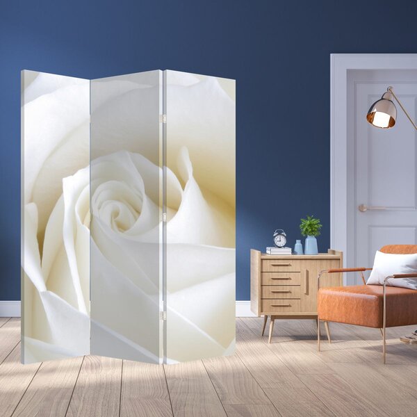 Paravan - Trandafir alb (126x170 cm)