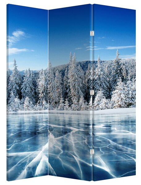 Paravan - Lacul înghețat și copacii înzăpeziți (126x170 cm)