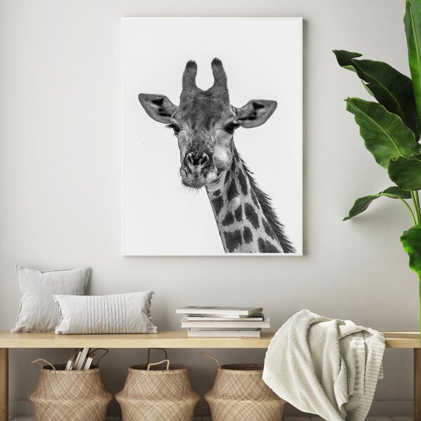Poster - Girafa (A4)