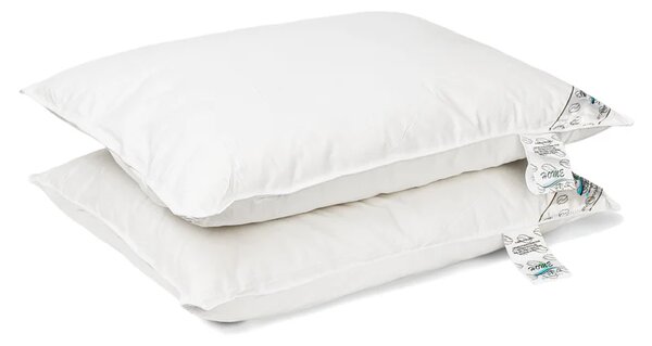 Set 2 perne puf si pana de rata 50x70 Cm