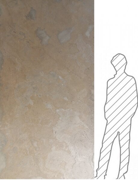 Tan 122x244 cm (2,9768 mp)