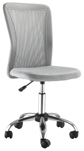 Vinsetto Scaun de Birou Ergonomic Fără Cotiere din Țesătură tip Plasă Gri | Aosom Romania