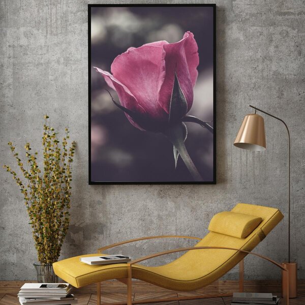 Poster - Floarea de trandafir (A4)