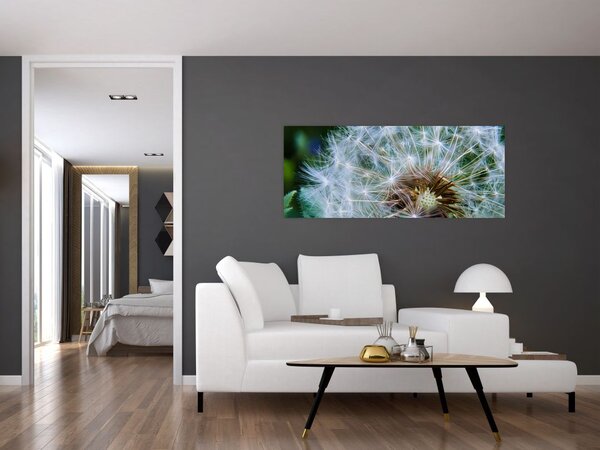 Tabloul cu păpădie desflorit (120x50 cm)
