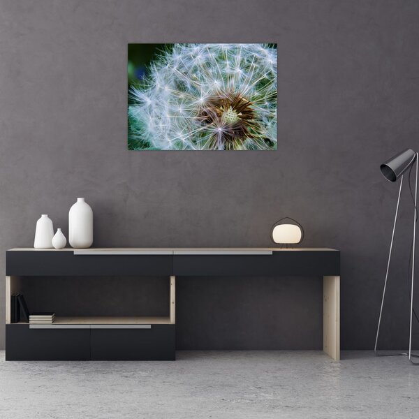 Tabloul cu păpădie desflorit (70x50 cm)