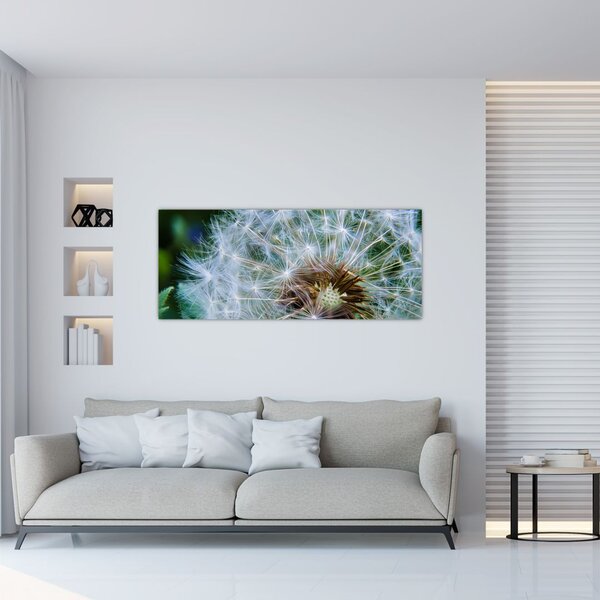 Tabloul cu păpădie desflorit (120x50 cm)