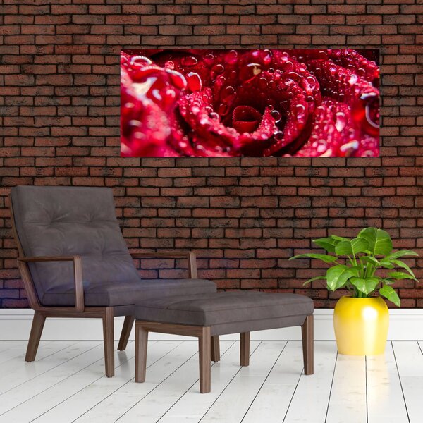 Tablou cu floarea trandafirului roșu (120x50 cm)