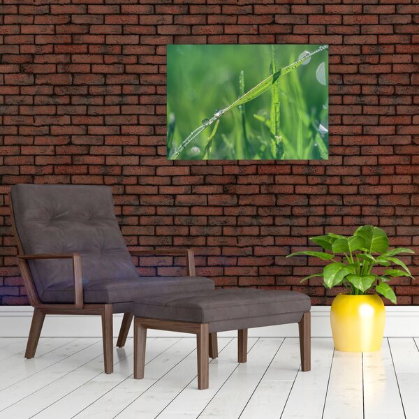 Tablou cu picături de rouă (70x50 cm)