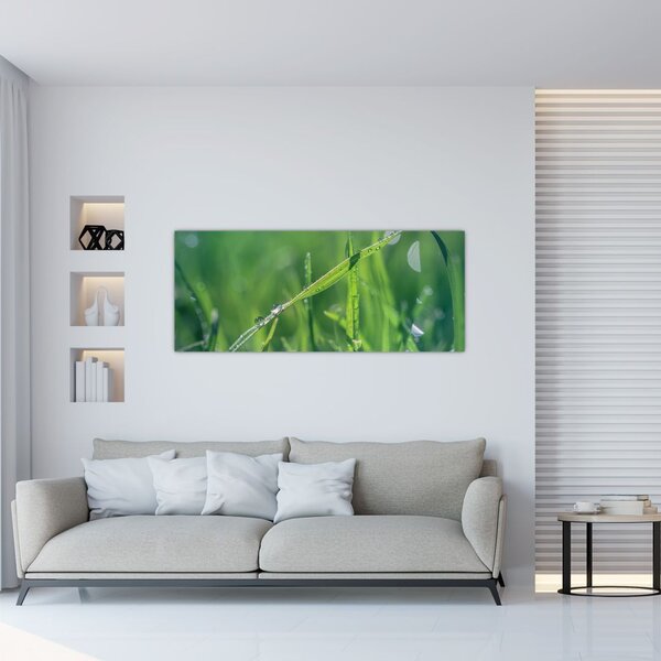 Tablou cu picături de rouă (120x50 cm)