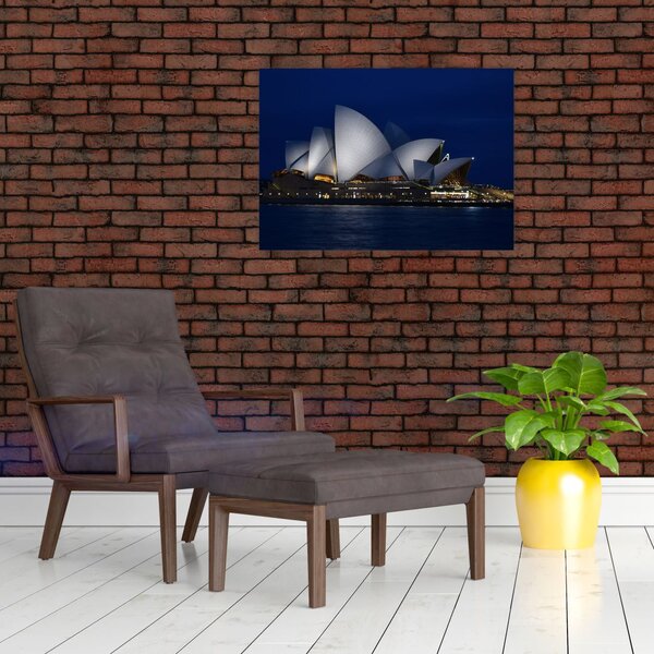 Tabloul Sydney nocturn (70x50 cm)