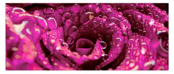 Tabloul cu floarea trandafirului roz (120x50 cm)