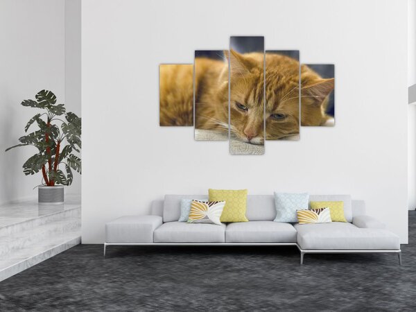 Tabloul pisicii (150x105 cm)