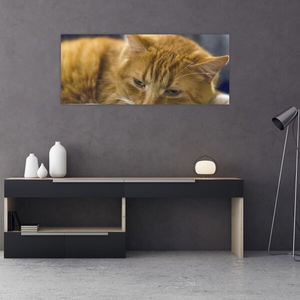 Tablou cu pisica (120x50 cm)