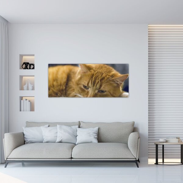 Tablou cu pisica (120x50 cm)