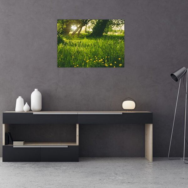 Tablou cu natura - lunca (70x50 cm)