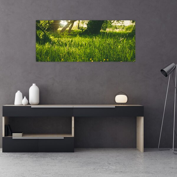 Tablou cu natura - lunca (120x50 cm)