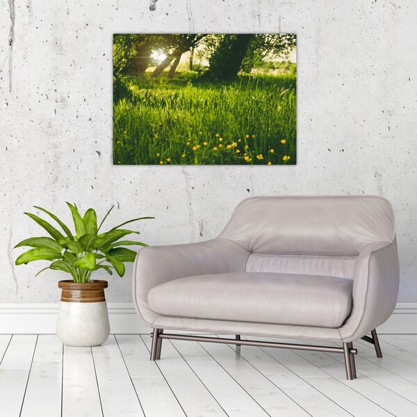 Tablou cu natura - lunca (70x50 cm)