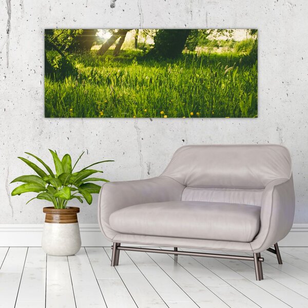 Tablou cu natura - lunca (120x50 cm)