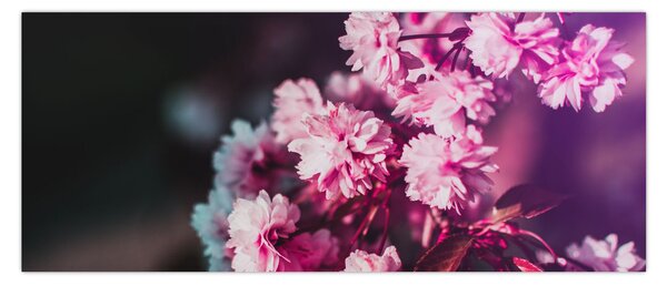 Tablou cu florile copacilor (120x50 cm)