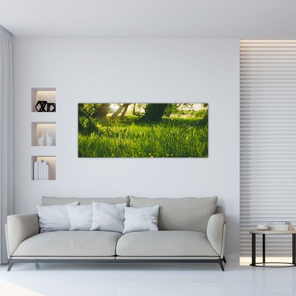 Tablou cu natura - lunca (120x50 cm)