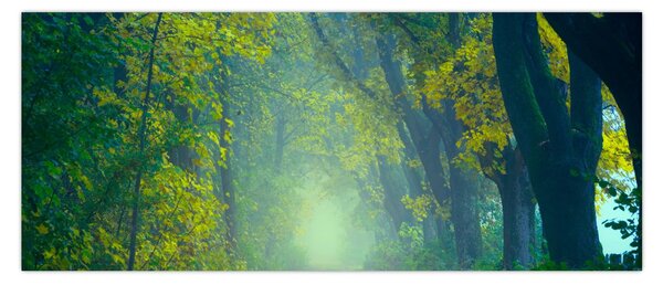 Tablou cu drum dea lungul cu copaci (120x50 cm)