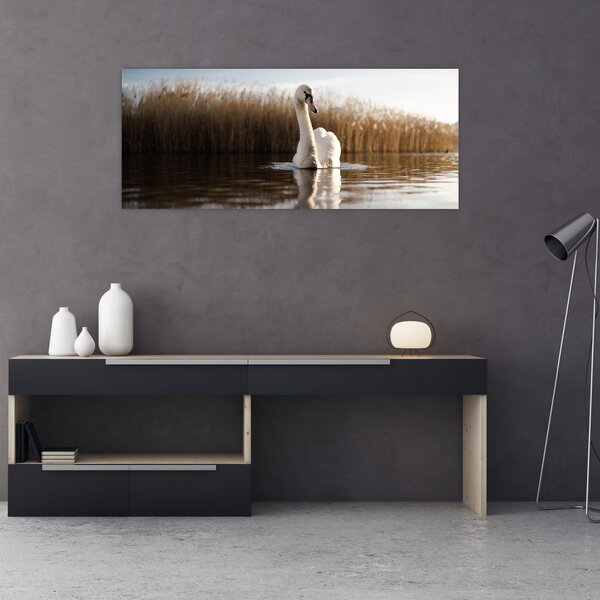 Tablou cu lebăda (120x50 cm)