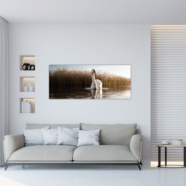 Tablou cu lebăda (120x50 cm)