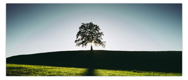 Tablou cu natura - copac (120x50 cm)