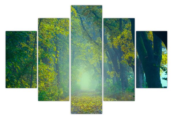 Tablou cu drum dea lungul cu copaci (150x105 cm)