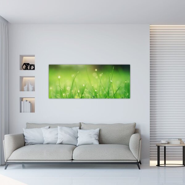 Tablou - roua pe iarbă (120x50 cm)