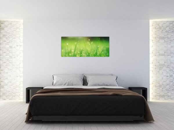 Tablou - roua pe iarbă (120x50 cm)