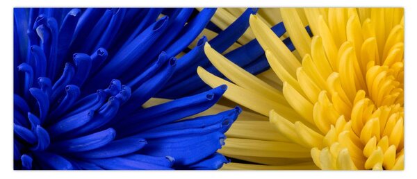 Tablou - detaliu florilor (120x50 cm)