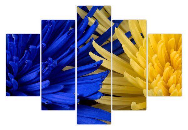 Tablou - detaliu florilor (150x105 cm)