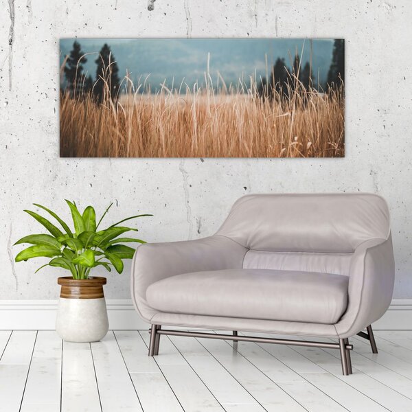 Tablou - detaliu spațiului de luncă (120x50 cm)