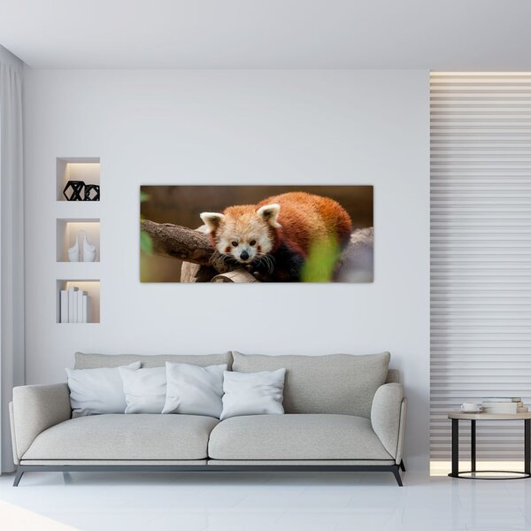 Tablou cu panda roșie (120x50 cm)