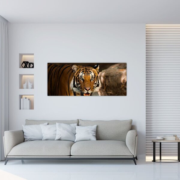Tablou cu tigrul (120x50 cm)
