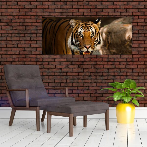 Tablou cu tigrul (120x50 cm)