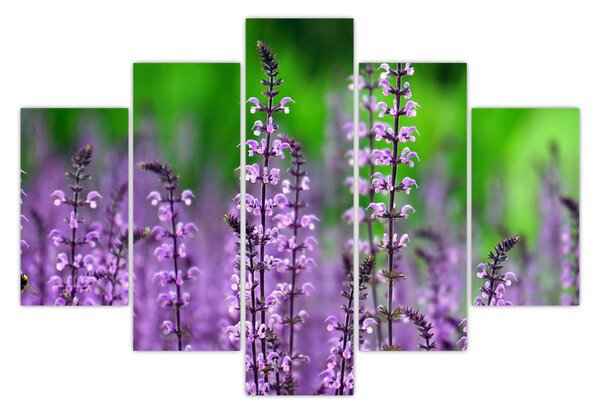 Tablou cu flori de luncă violete (150x105 cm)