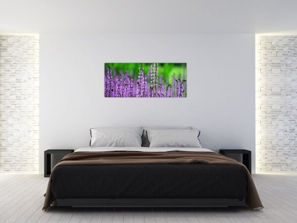 Tablou cu flori de luncă violete (120x50 cm)