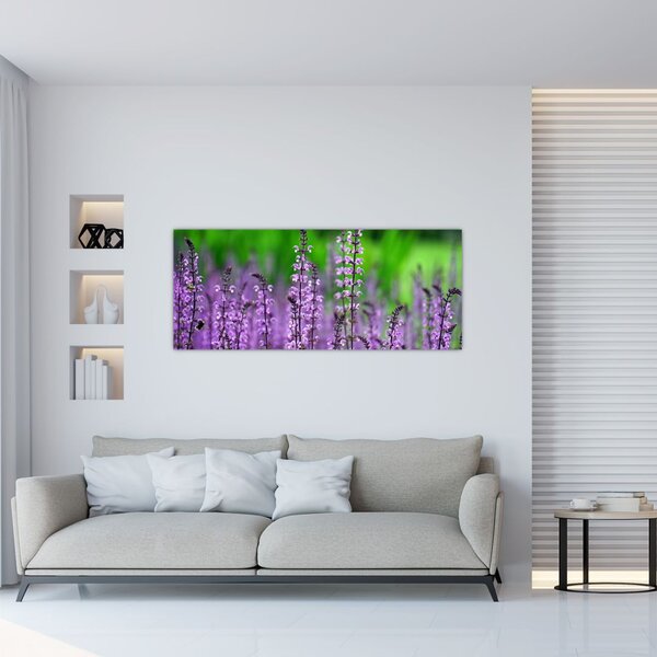 Tablou cu flori de luncă violete (120x50 cm)
