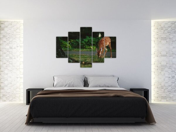 Tablou cu pui de cerb (150x105 cm)