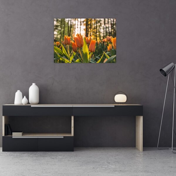 Tablou - florile lalelelor (70x50 cm)