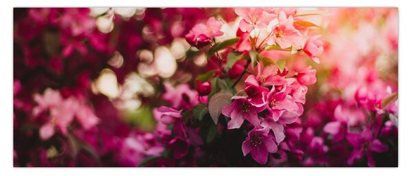 Tablou cu florile tufișului înflorit (120x50 cm)