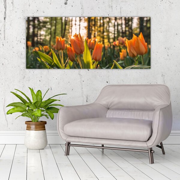 Tablou - florile lalelelor (120x50 cm)