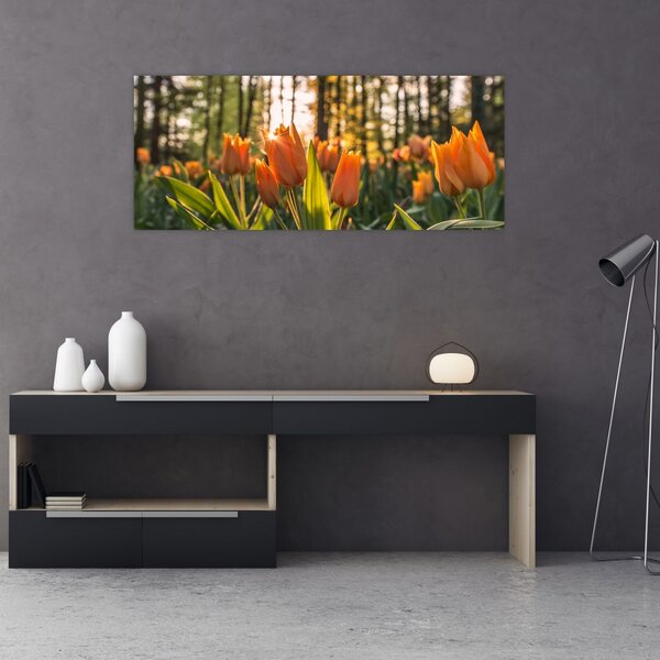 Tablou - florile lalelelor (120x50 cm)