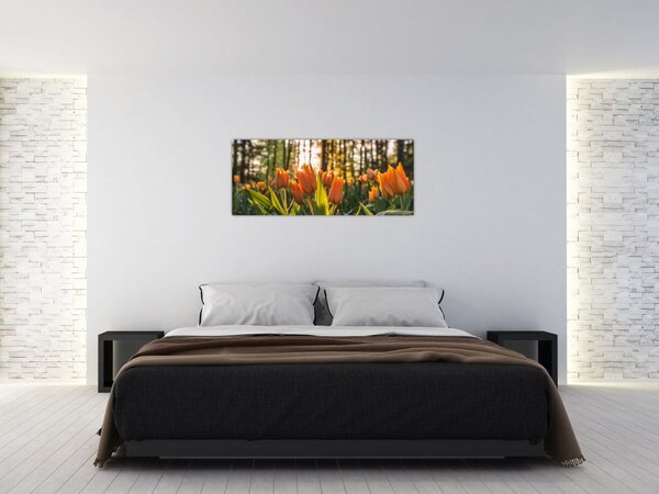 Tablou - florile lalelelor (120x50 cm)