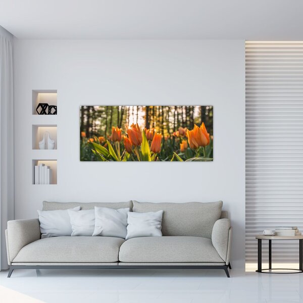 Tablou - florile lalelelor (120x50 cm)