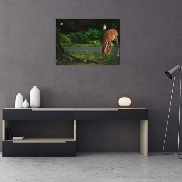 Tablou cu pui de cerb (70x50 cm)